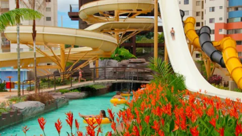 imagem capa Ingresso Water Park | Caldas Novas GO