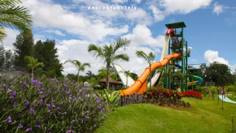 Ingresso Lagoa Termas Parque | Caldas Novas GO