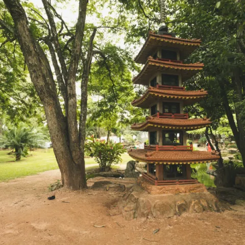 Foto demonstrativa de Jardim Japonês em Caldas Novas