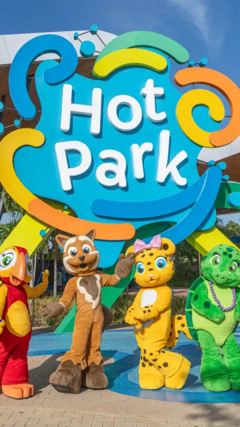 Foto demonstrativa de Como Evitar Fila no Hot Park