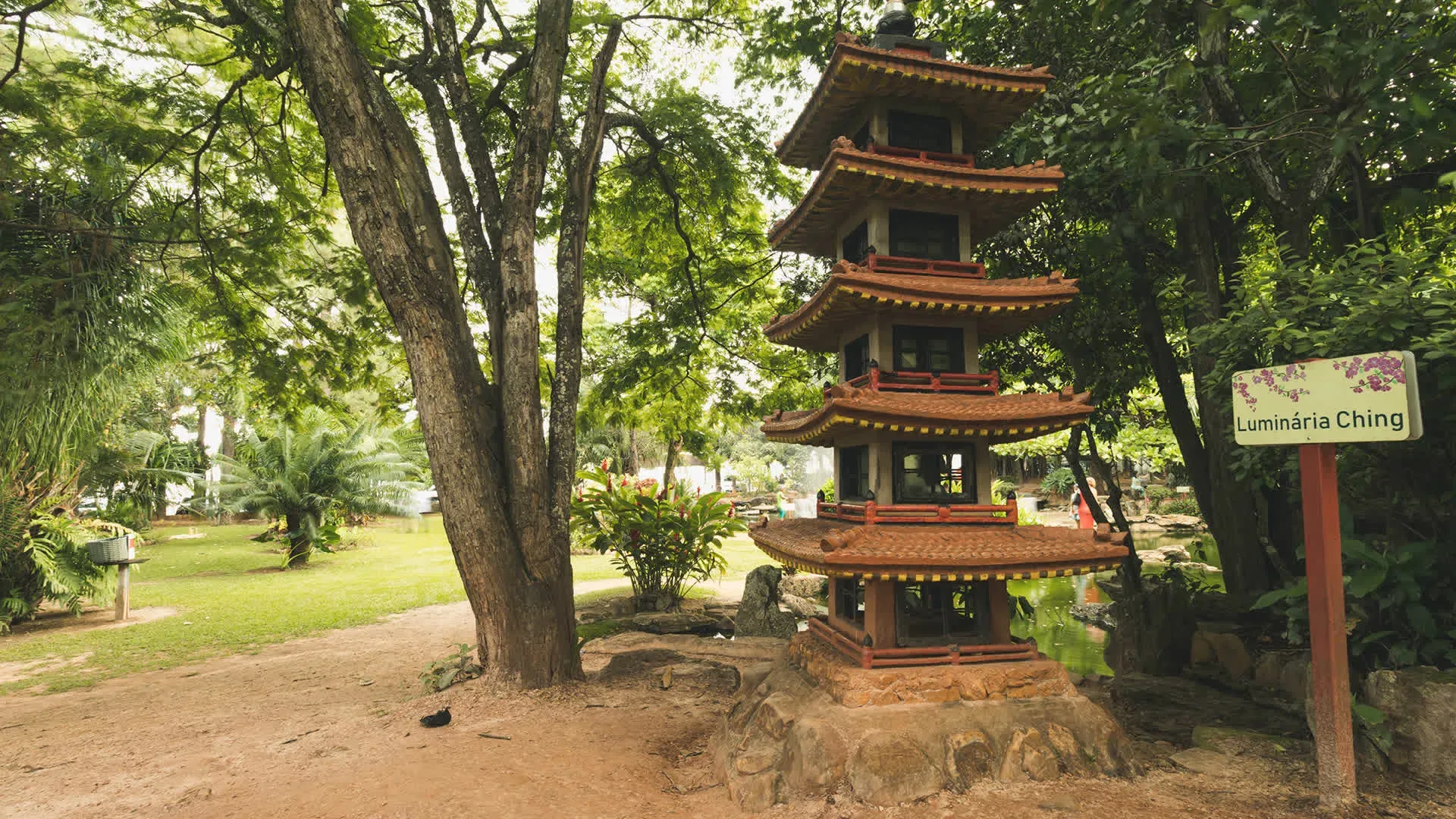Jardim Japonês em Caldas Novas: Contato com a Natureza